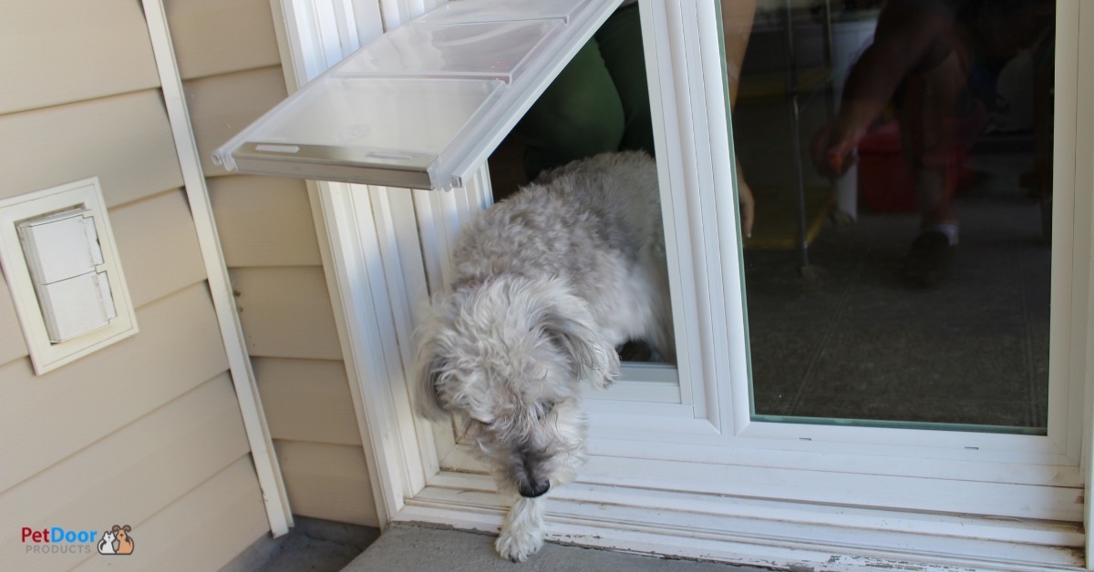 Best Dog Door Sliding Door: Ultimate Guide for Pet Freedom
