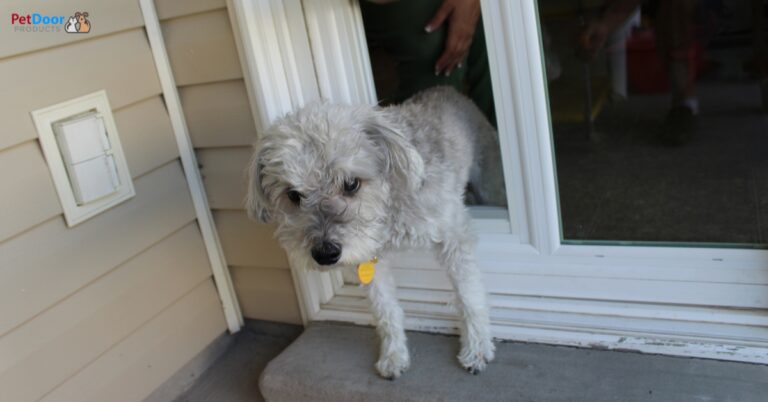 A custom-made sliding glass dog door installed in a Utah home