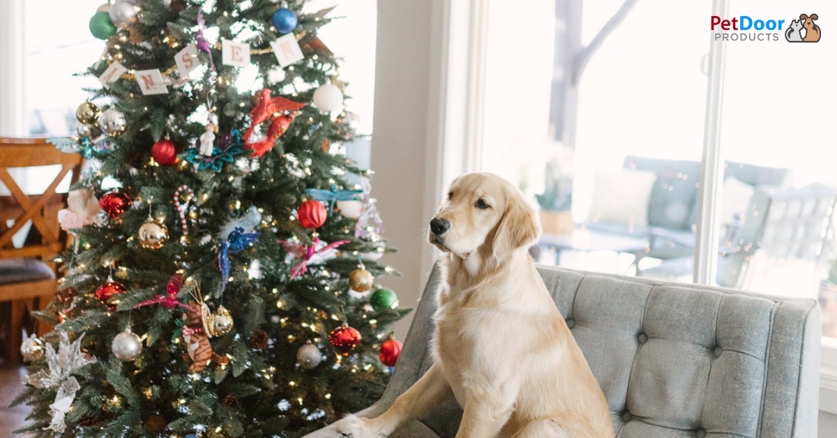 Why A Dog Door Is The Perfect Christmas Gift For Pet Lovers
