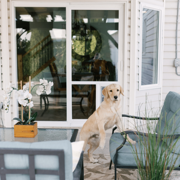 Close-up of a homeowner cleaning sliding door tracks and glass.
