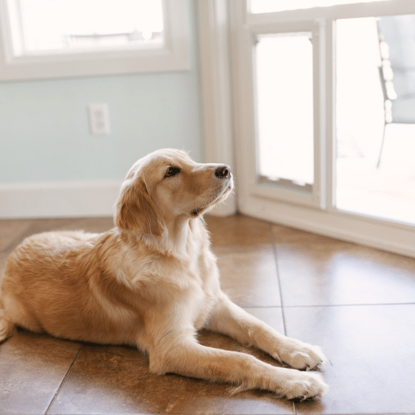 Contemporary home interior with matching sliding door frame and modern décor.