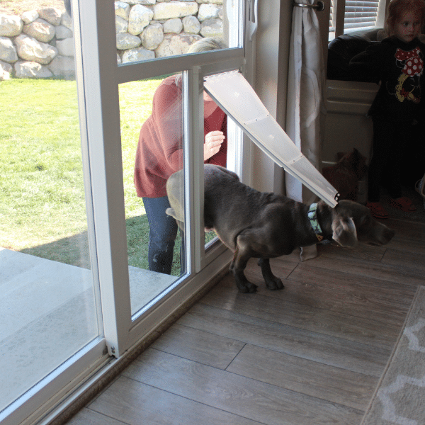 Family and dog relaxing in a warm, energy-efficient living room.