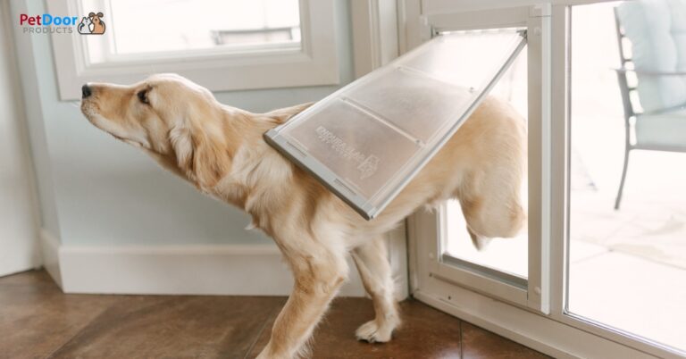 Golden retriever walking through built-in dog door in sliding glass patio door