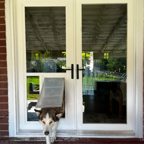 French Doors With Dog Door