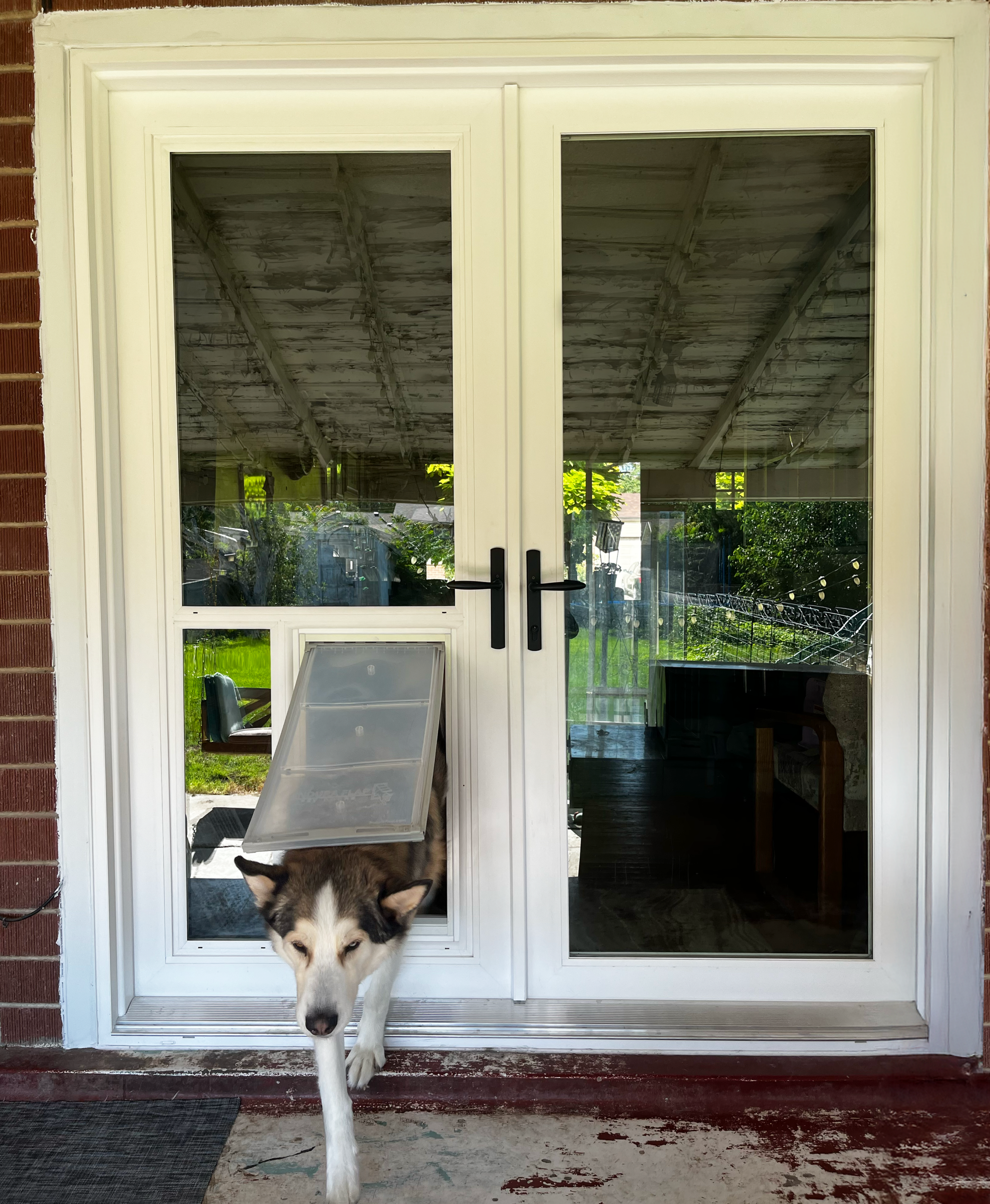 Front Door French Door With Dog Door Built In Front Door With Dog