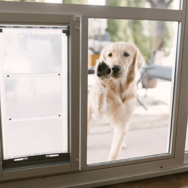 Integrated pet door built into a sliding glass door compared to a temporary panel insert.