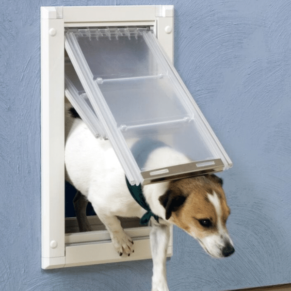 Sleek interior of home with wall-installed pet door.