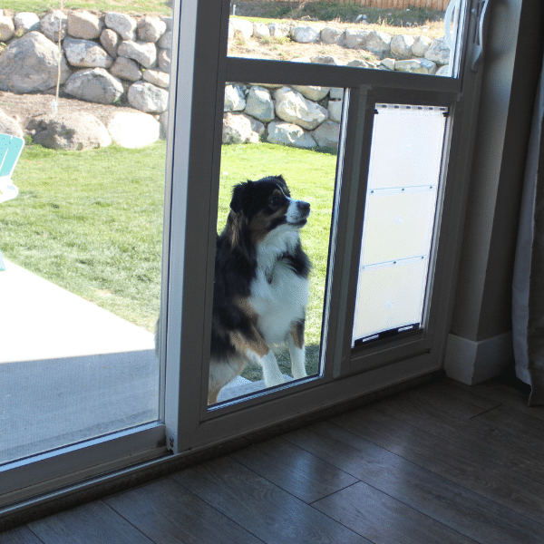 Secure and energy-efficient dog door in a sliding glass door.
